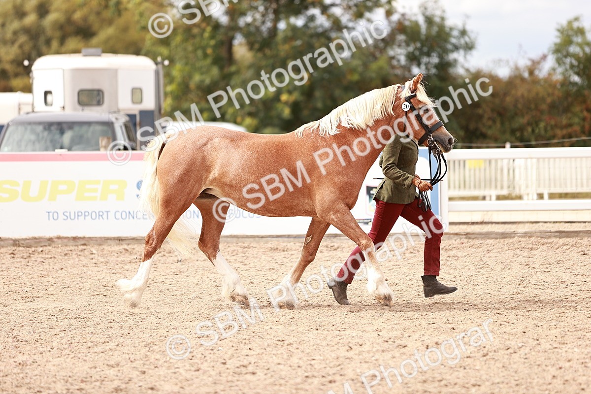 SBM_16315 - Class 413 - Best Condition - Adult