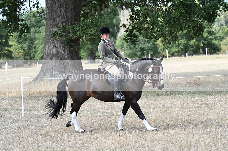 WJ7_6047 - Class 13 Ridden Veterans