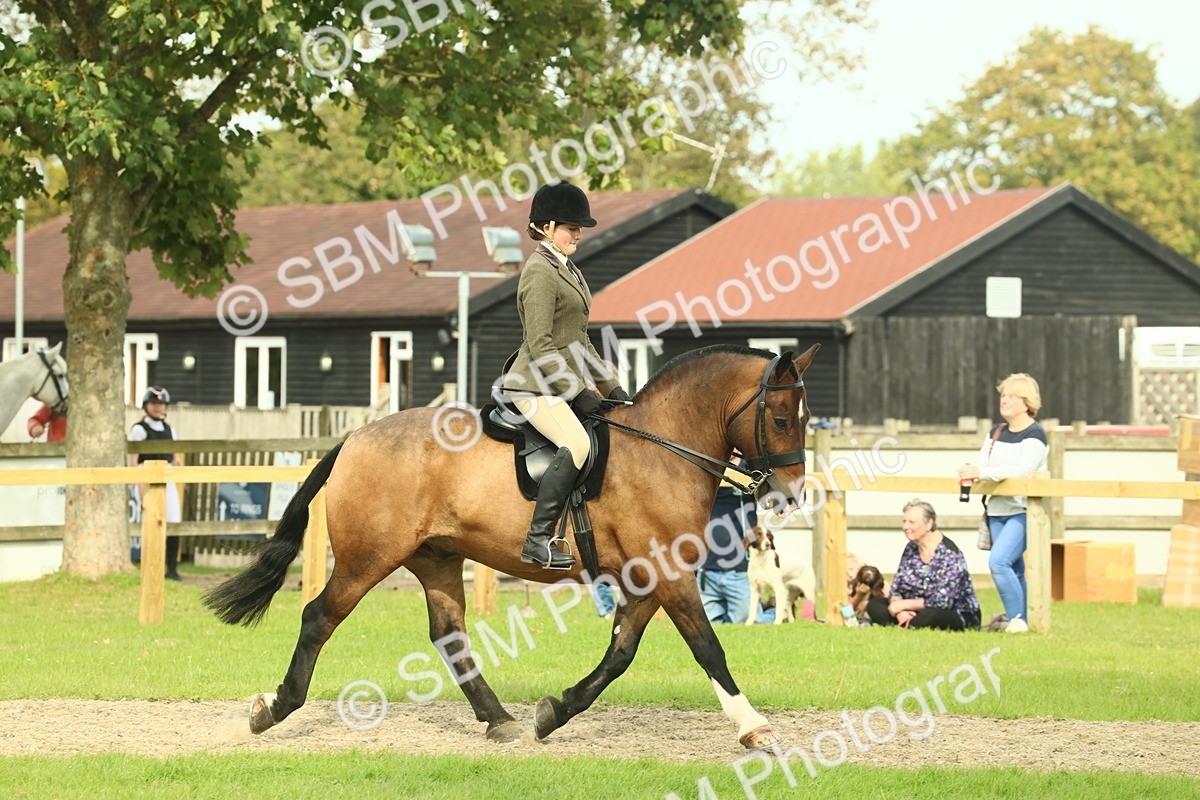 SBM_68199 - S58 - Mini Show Cob Ridden