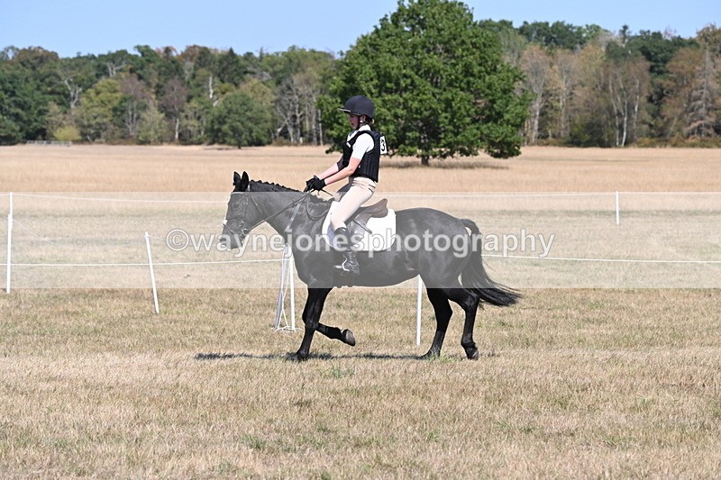 WJ6_8824 - Class 38 Ridden Riding Horse/Pony