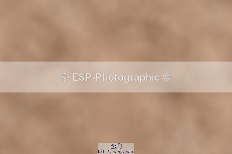 231217A-114910-00845 - Unaffiliated Classes