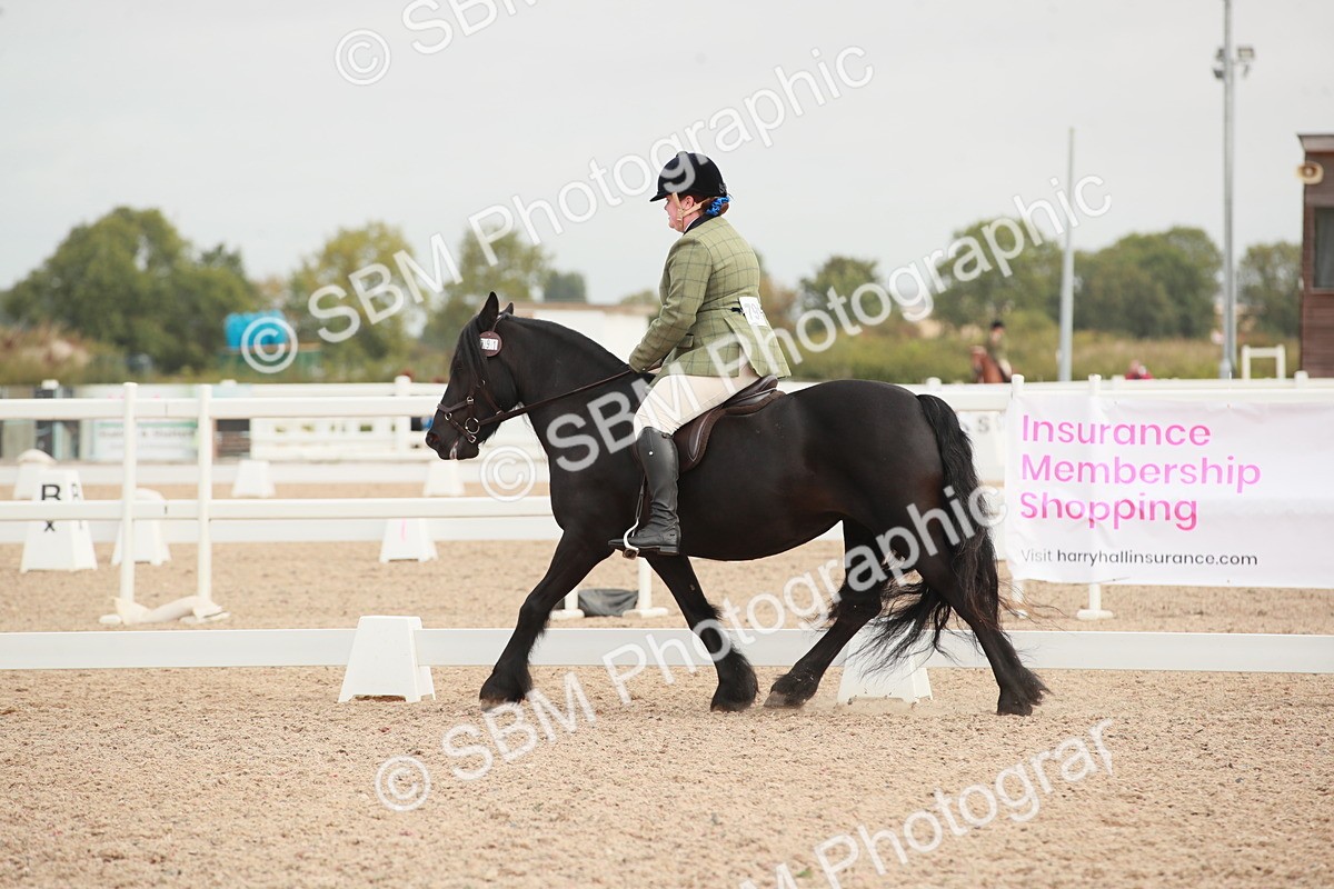 SBM_02547 - Class 30 - Intro 1