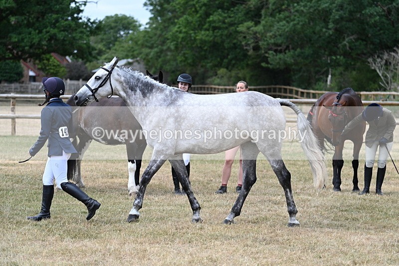 WJ7_1882 - Class 4a Prettiest Mare 14.2hh and over hand