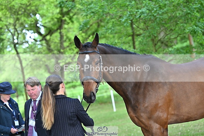 250521A-170230-01486 - C-281-Holly.Morris-NADIR.DE.LEAU