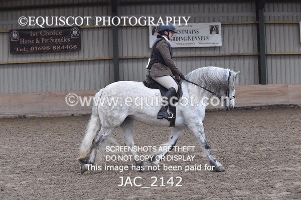 JAC_2142 - CLASS 1 Nursery Novice Working Hunter
