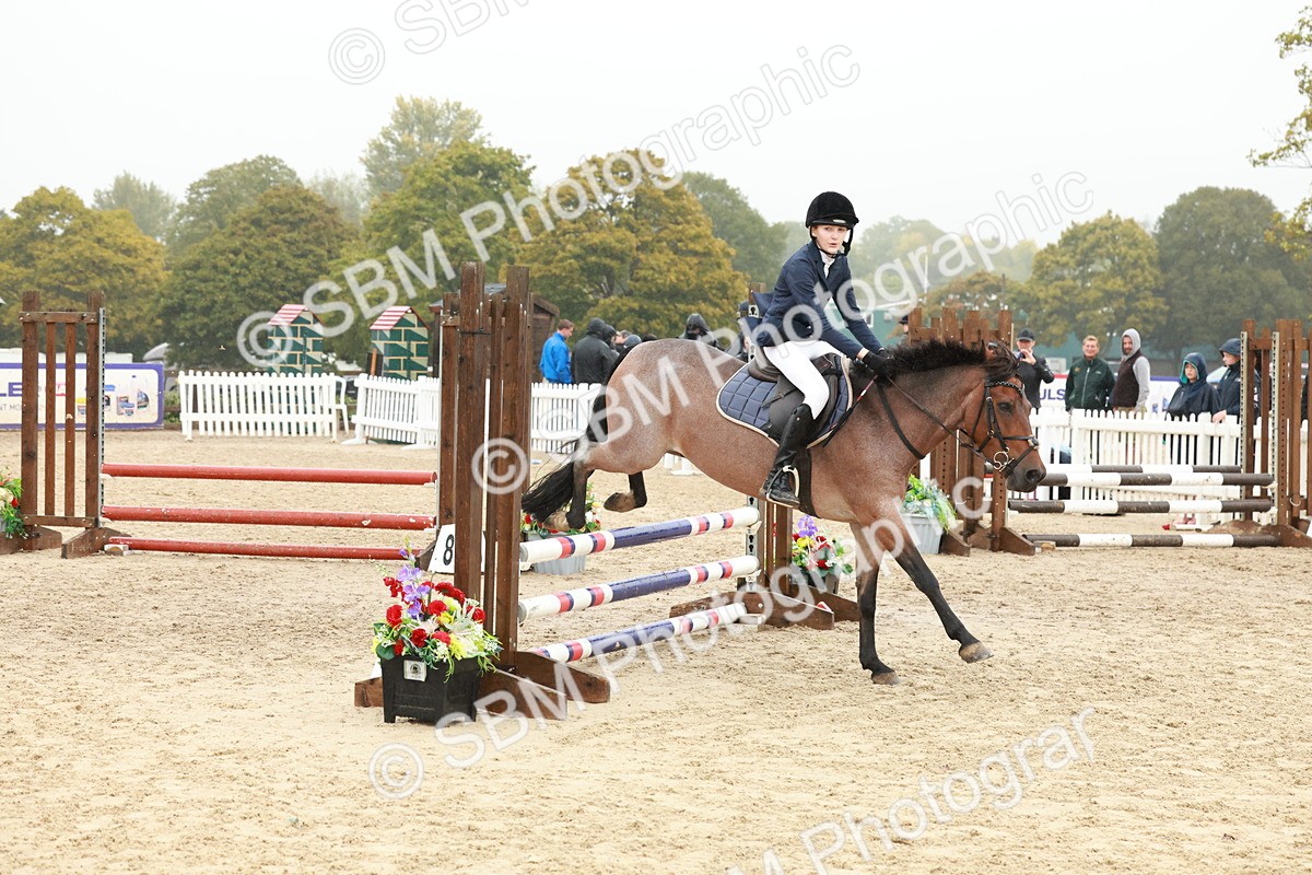 SBM_73276 - Supreme Championship Junior Pony 60cm & 65cm