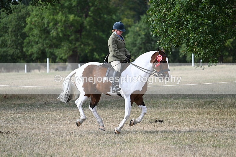 WJ7_7744 - Ridden Championship