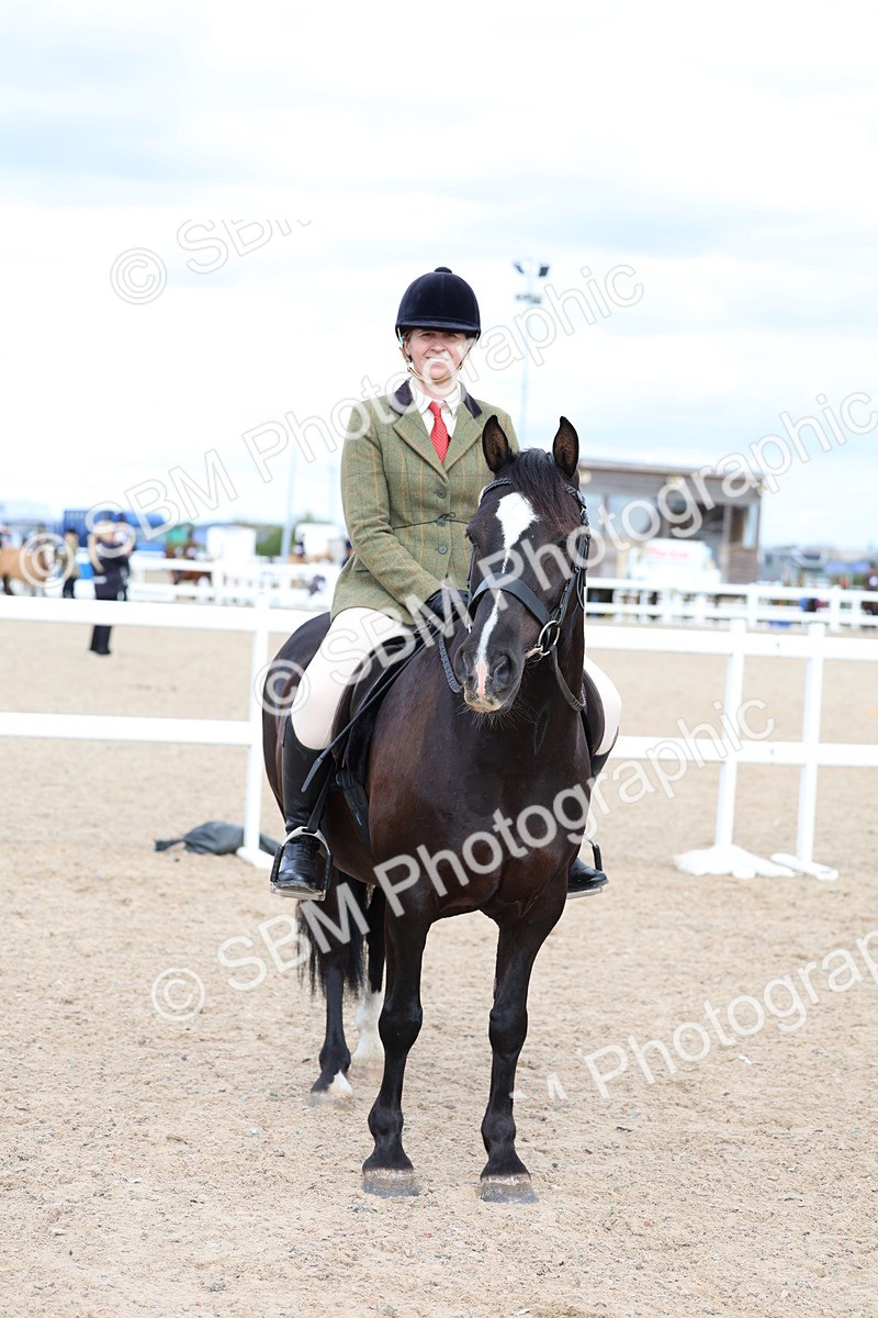 SBM_15819 - Class 314 - Family Horse - Pony