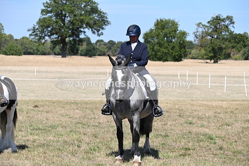 WJ6_9073 - Class 38 Ridden Riding Horse/Pony