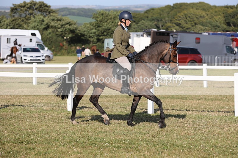 JPP_3268 - Class 21: Working Hunter 80cm