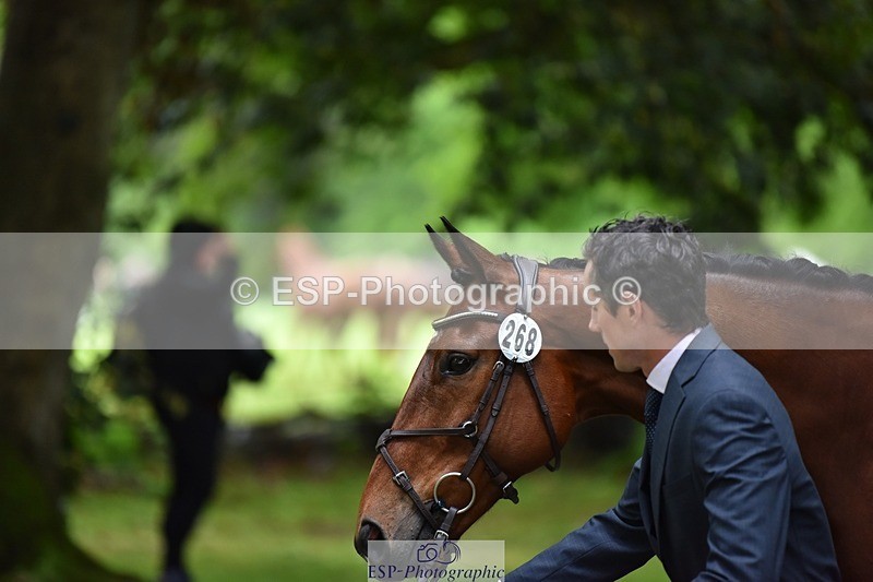 240522-163556-01035 - 268-TOM_DILLINGER-Hector_Payne