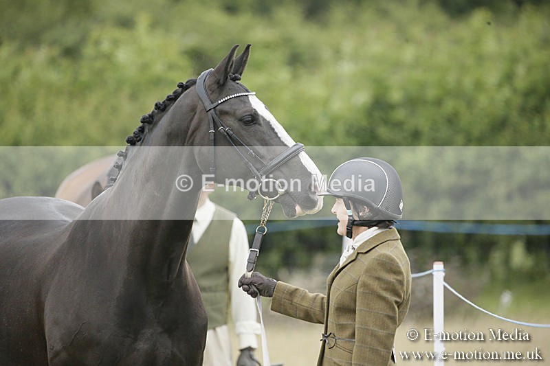 B230619-0248 - Bourne Valley Riding Club Summer Show 23/06/19