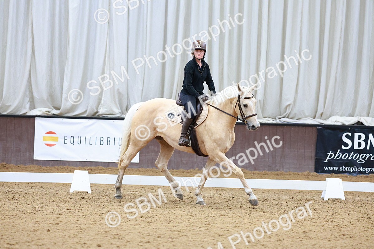 1I0A0623 - Class 3-6 - Prelim 1-Novice 2