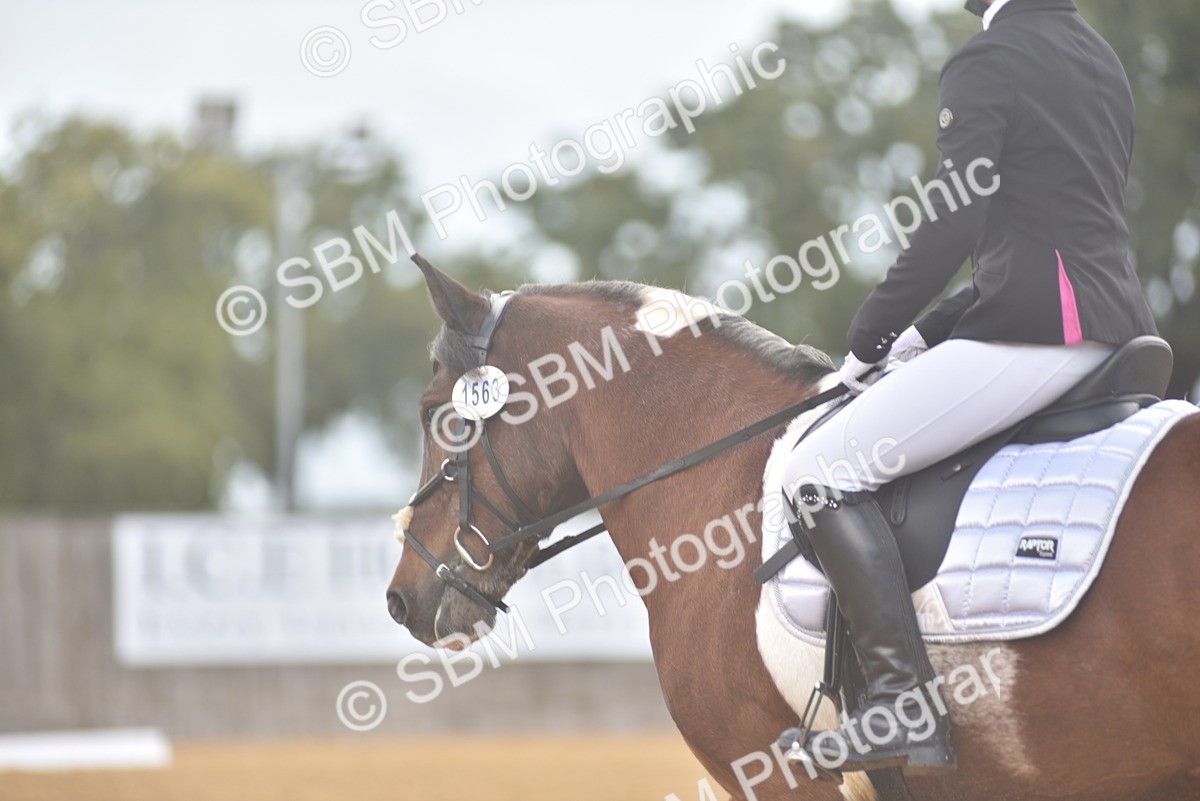SBM_38678 - D14 - Grand Tour Championship Prelim 2