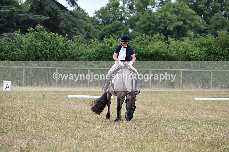 WJ6_1452 - Time 10:28 to 10:40