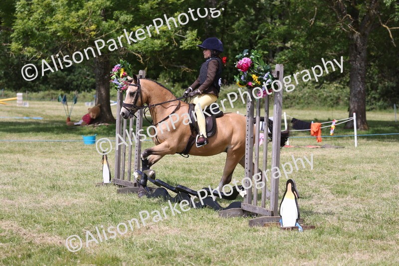 20260614-1898 - Class 21 - Novice Working Hunter Pony