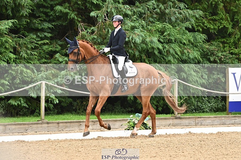 240811-113740-05218 - 208-Tom.Carter-Rubin.Regal