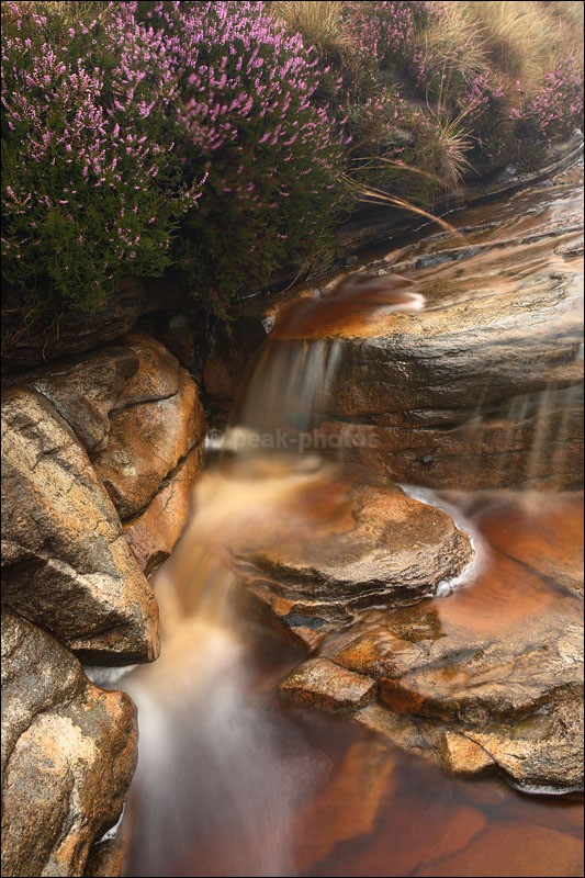 Peak Gold - Peak District | Dark Peak