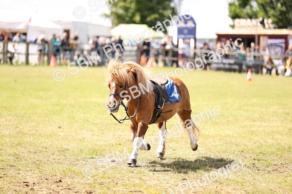 SBM_16751 - Dinky Derby