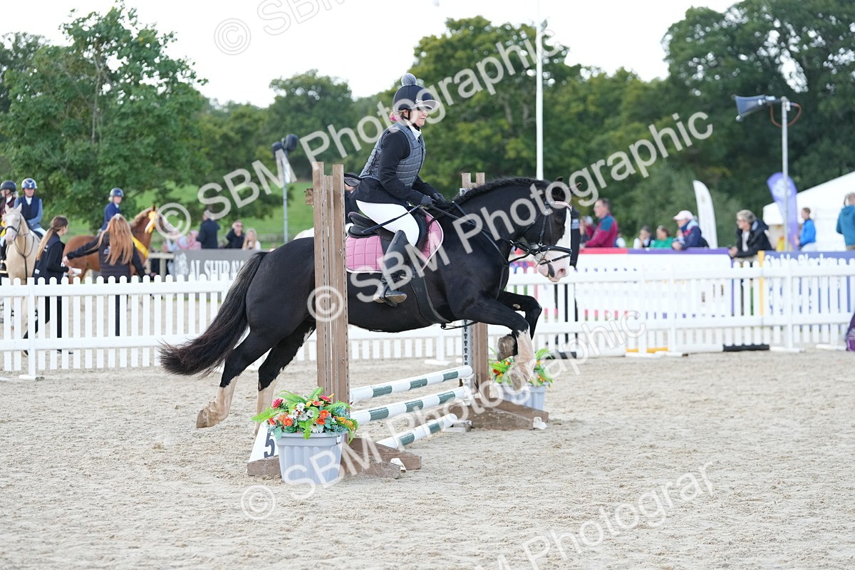 SBM_17888 - J58 - Clear Round 50cm