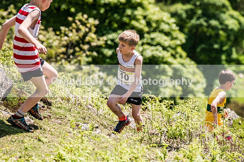 Coniston Junior-34 - Coniston Gullies Junior Fell Races Sunday 24th May 2026