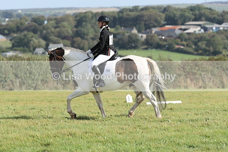 JPP_8113 - Class 2A: Trekenning Open: Dressage