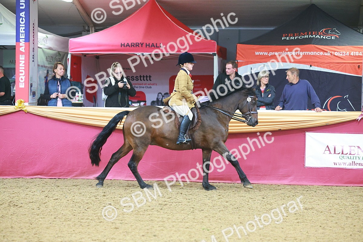 SBM_09634 - Class 102 - HOYS Veteran Qualifier - Ridden Veteran