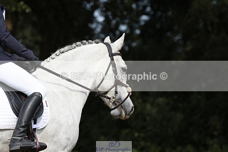 250823A-151711-33069 - PC80 Ride Off