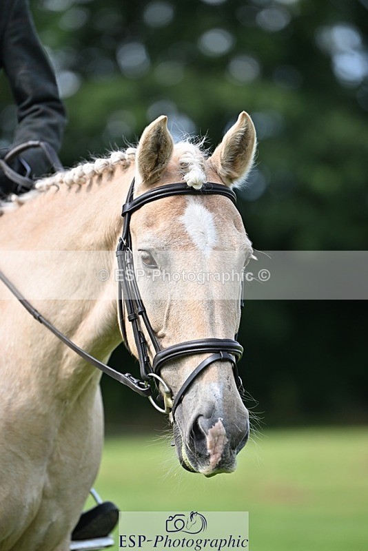 230826-103926-16619 - Sections A & B 10 to End