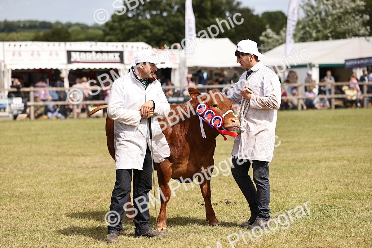 SBM_16944 - Grand Parade