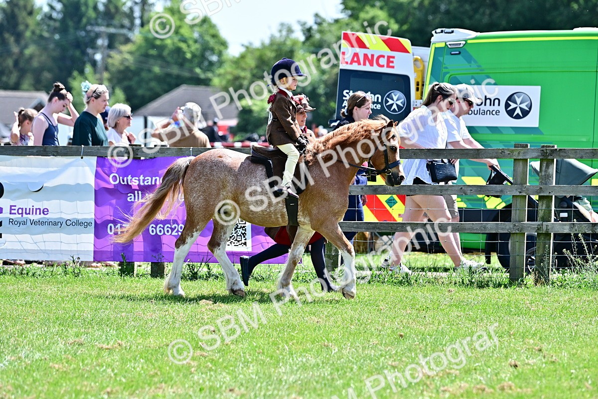 SBM_05759 - Class 59-60 - TSR M&M  Lear Rein and First Ridden Amateur of the year