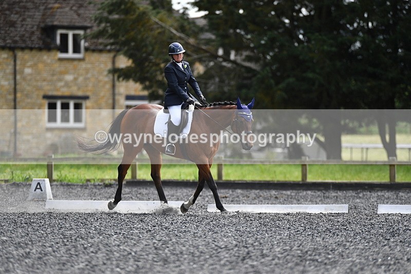 WJ5_1593 - Time 14:20 to 15:01