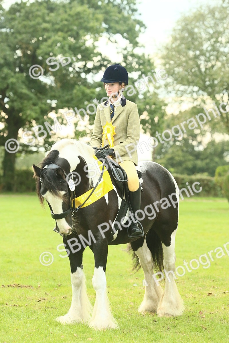 SBM_75085 - Ridden Pony Supreme Championship