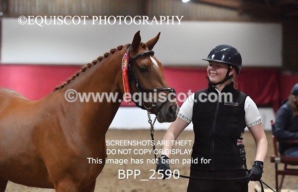 BPP_2590 - LOOSE JUMPING / SPSS