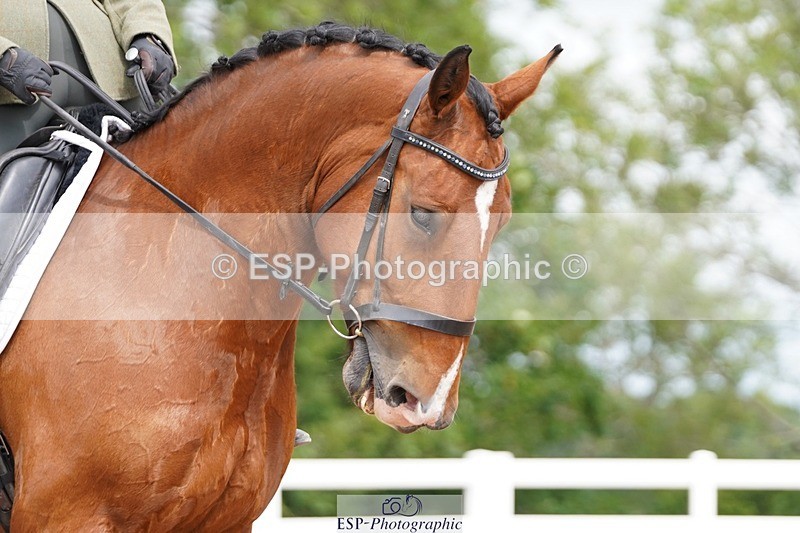 250622-105110-13423 - Cls 52 FreeStyle Elementary Inc Presentations