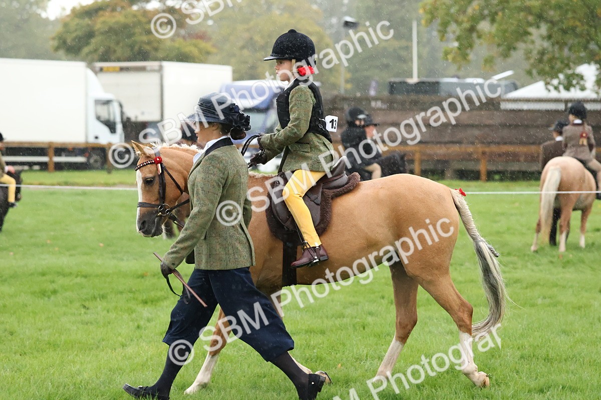 SBM_33308 - S8 - Best Turned Out