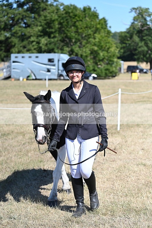 WJ7_1826 - Class 43 Best Six Legs (In hand)