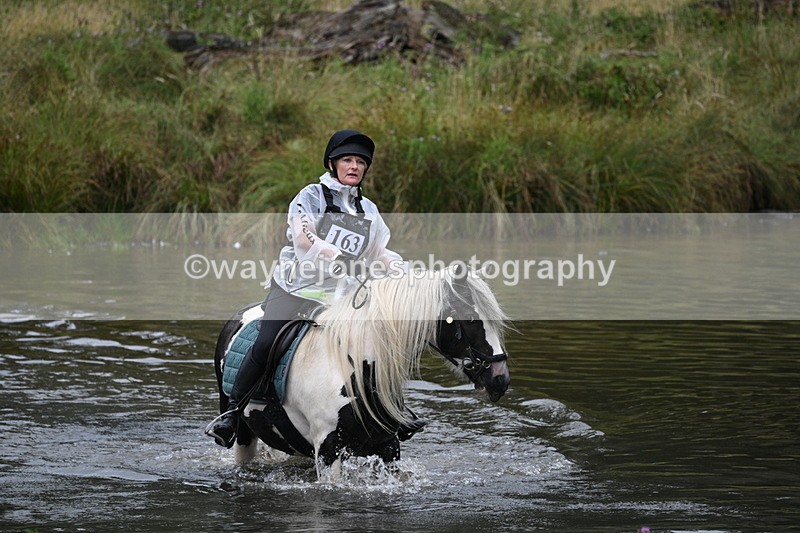 WJ7_6773 - Time at Water 10:01 to 10:27