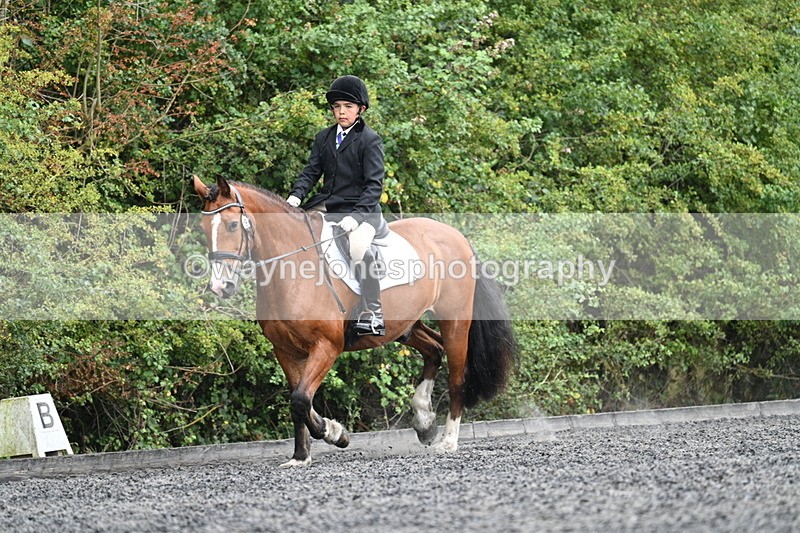 WJ7_6084 - Time 11:38 to 12:03