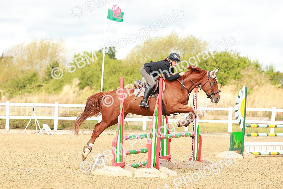 SBM_000463 - Class 2 - Senior British Novice - 90cm