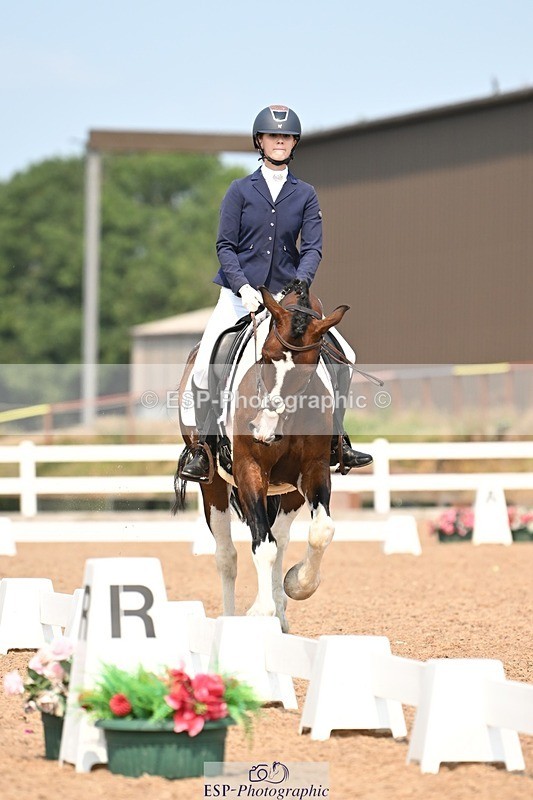 250816-140643-05013 - 050-Mollie.SheathTouch.Wood