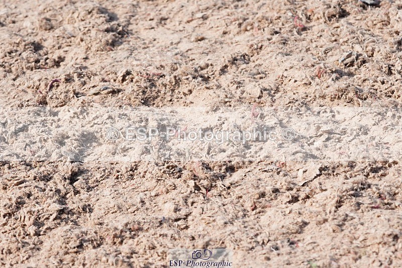 250503-093712-00106 - Cls 16 Clear Round 40cm and 50cm