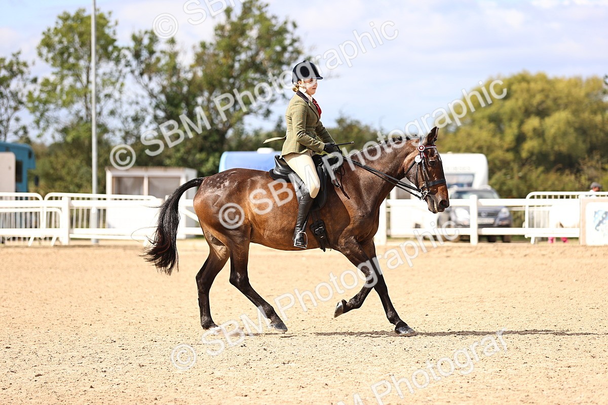 SBM_12929 - Class 410 - Grassroots Ridden - Horse