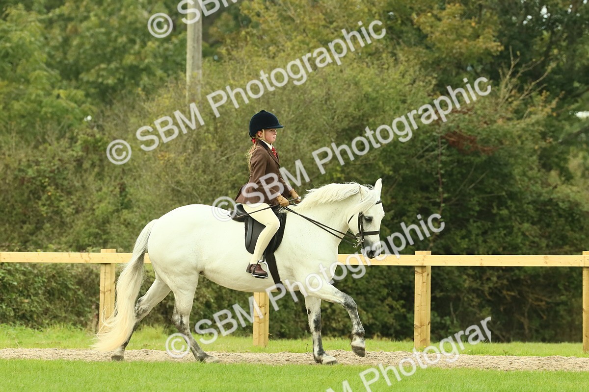 SBM_71906 - S60 - Mountain & Moorland Ridden Large Breeds