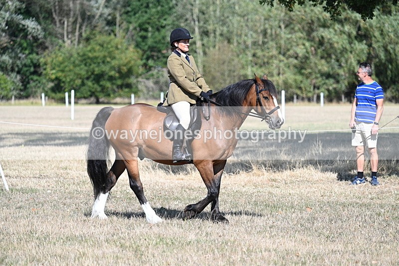 WJ7_3422 - Class 9 Mountain & Moorland Ridden
