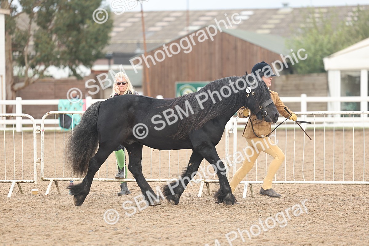 SBM_08427 - Class 29 - IH Veteran Pony