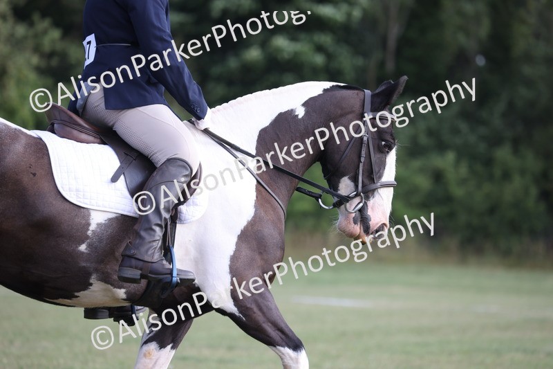 20250731-0041 - Class 2 - Prelim 3