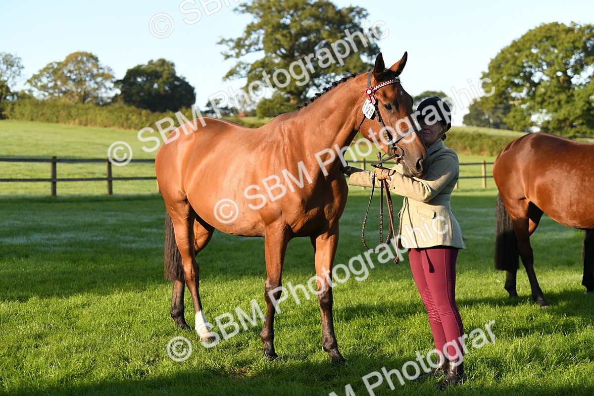 SBM_32769 - S15 - Condition & Turnout In Hand