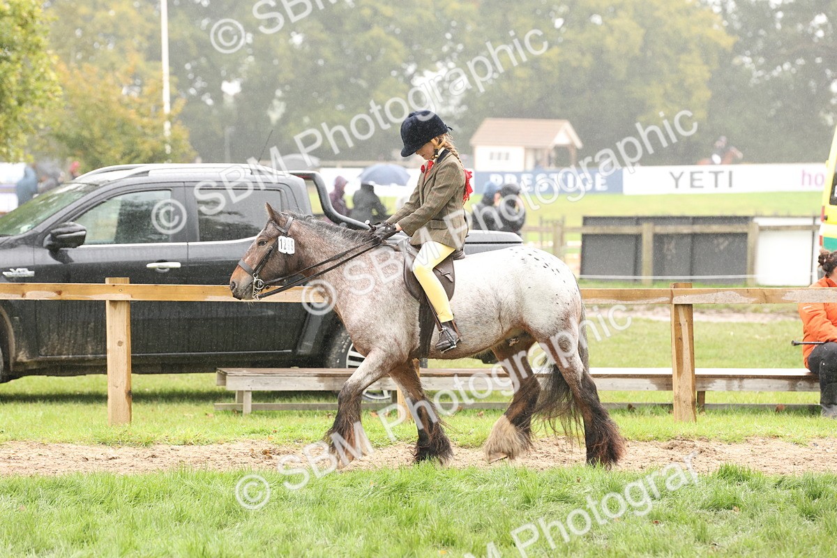 SBM_72760 - S70 - Traditional Cob Ridden