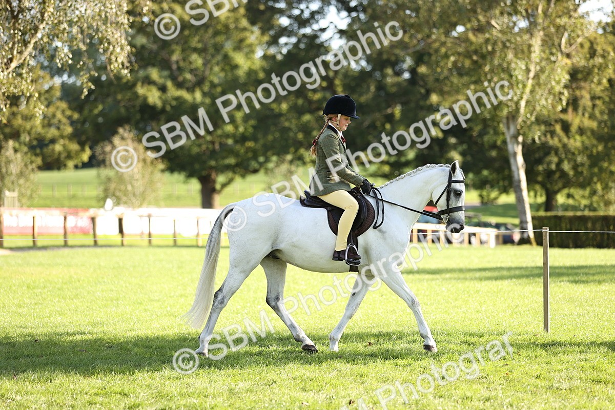 SBM_29324 - S7 - Novice & Newcomers Ridden Pony